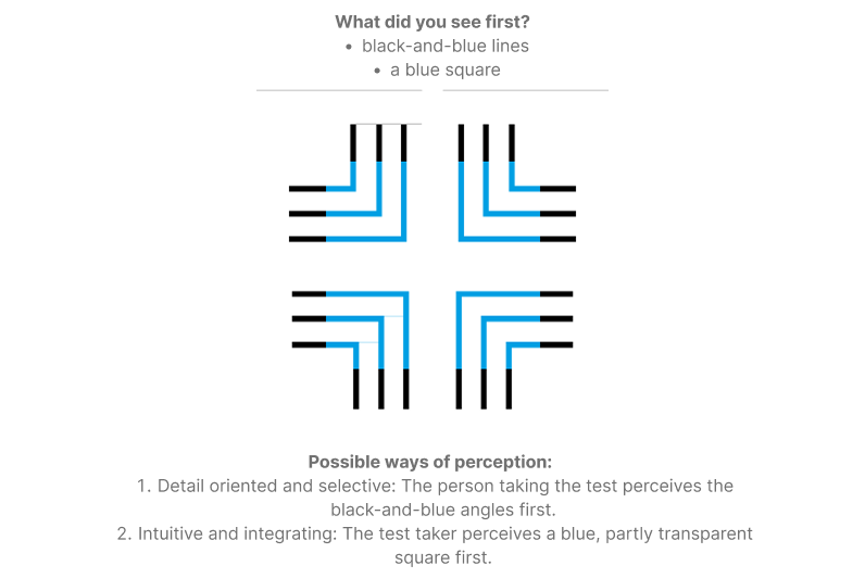Image from our Visual Implicit Profiler (VIP)®